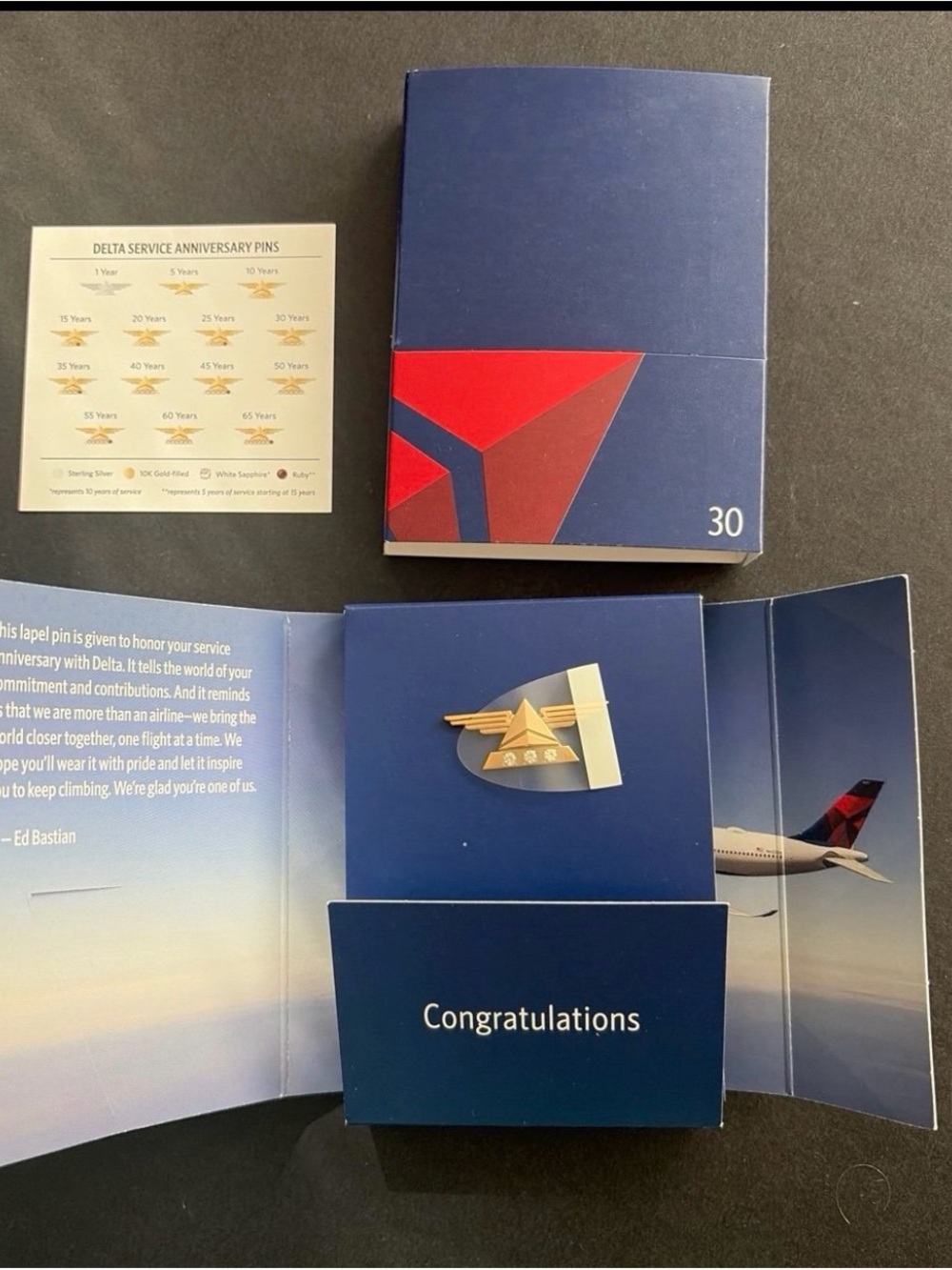 Delta Airlines Service Anniversary Lapel Pin 30 Years  ( Collectible)
